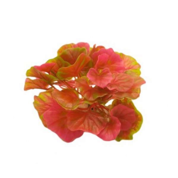 ΔΙΑΚΟΣΜΗΤΙΚΟ ΦΥΤΟ ΕΝΥΔΡΕΙΟΥ 9CM